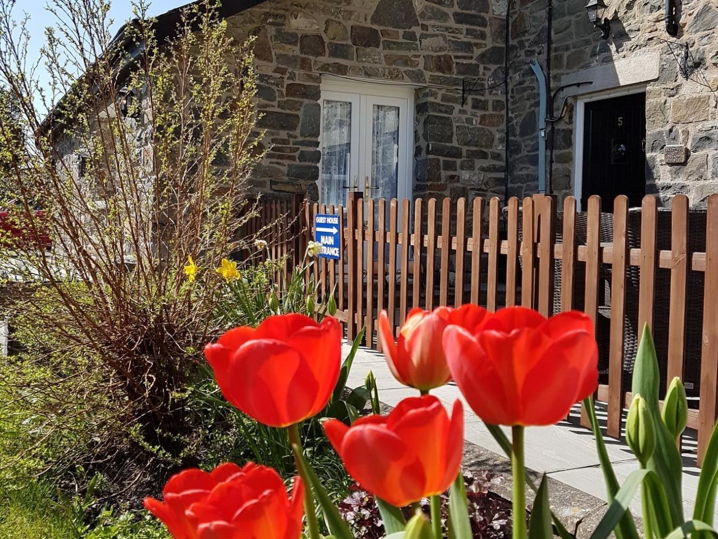 Bronwye Builth Wells Exterior foto