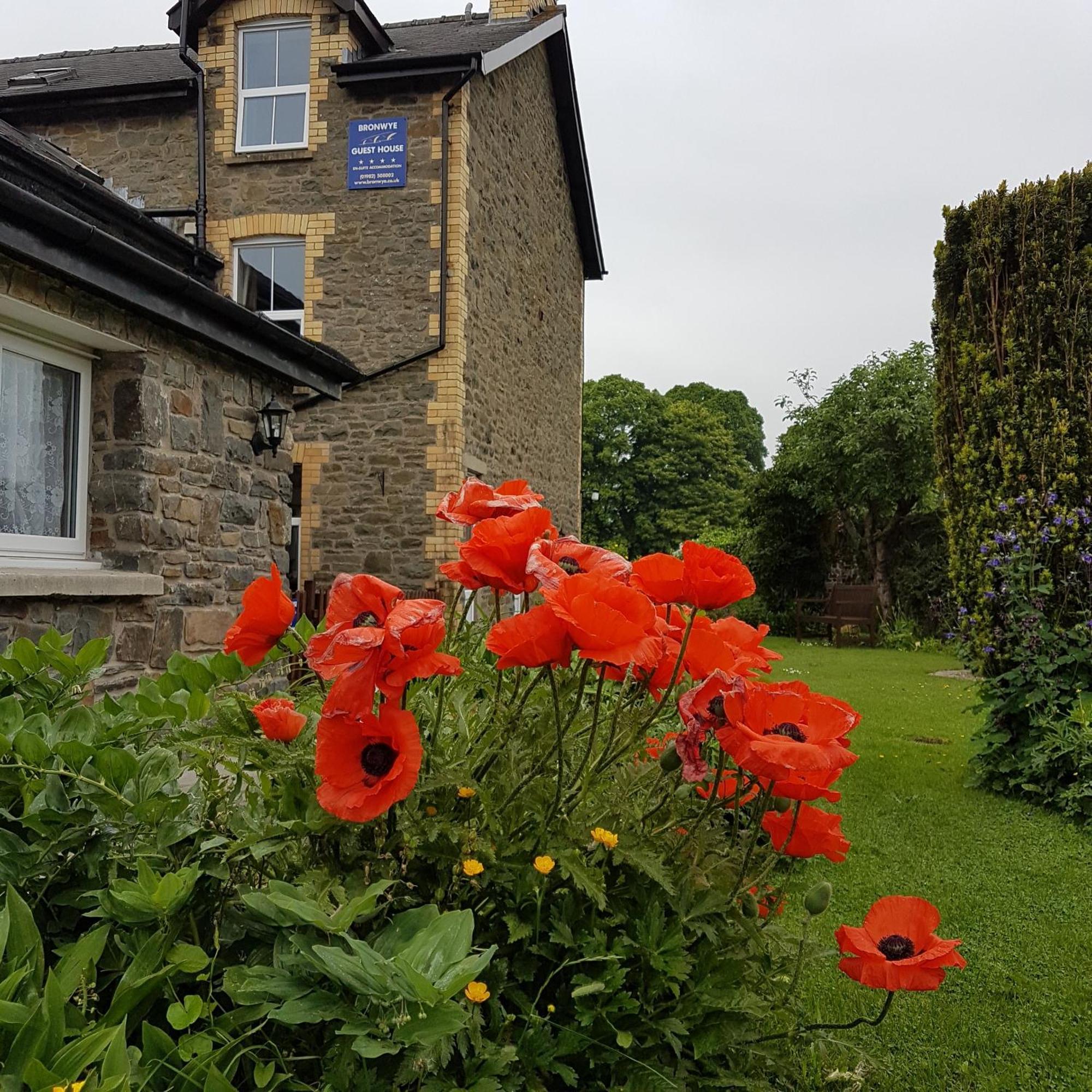 Bronwye Builth Wells Exterior foto